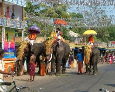 (1.) Alleppepey India