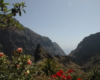 (2.) Buenavista del Norte, Tenerife España
