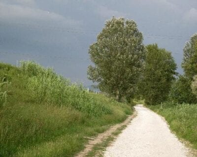 Castelnuovo Berardenga Italia