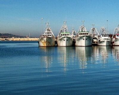 Civitanova Marche Italia