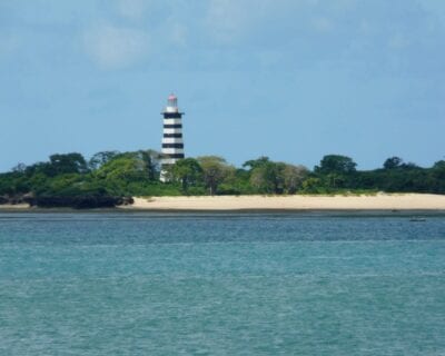 (2.) Costa Oeste (Zanzibar) Tanzania