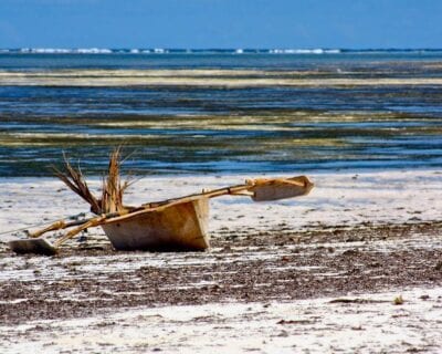 (3.) Costa Oeste (Zanzibar) Tanzania