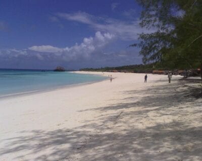 (1.) Costa Oeste (Zanzibar) Tanzania