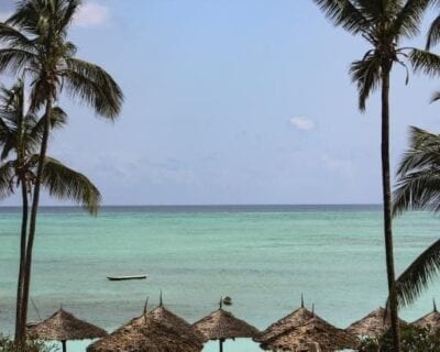 (2.) Costa Sur (Zanzibar) Tanzania