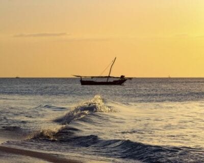 (3.) Costa Sur (Zanzibar) Tanzania