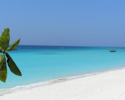 (1.) Costa Sur (Zanzibar) Tanzania