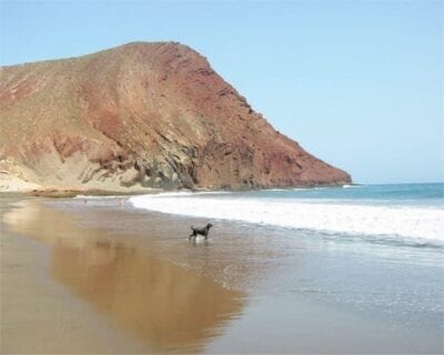 El Médano (Tenerife) España