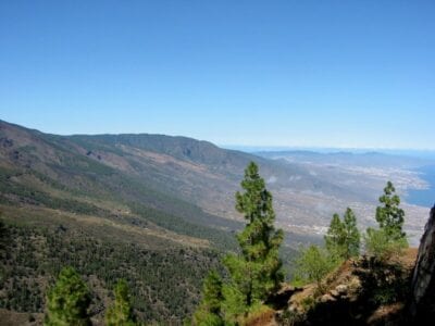 Güimar (Tenerife) España