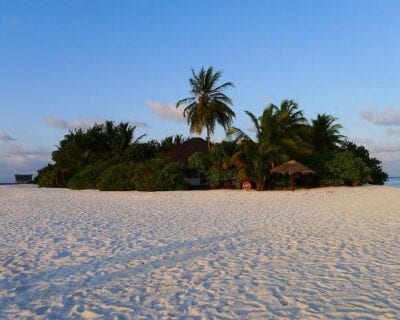 (3.) Ihuru (Angsana) Maldivas