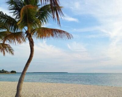 (3.) Key Biscayne FL Estados Unidos