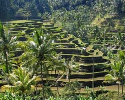 Kubu, Bali Indonesia