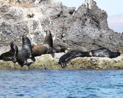 La paz (Baja California) México