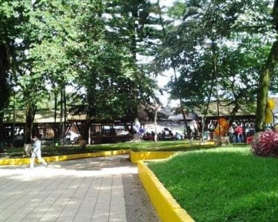 (2.) La Tebaida Colombia