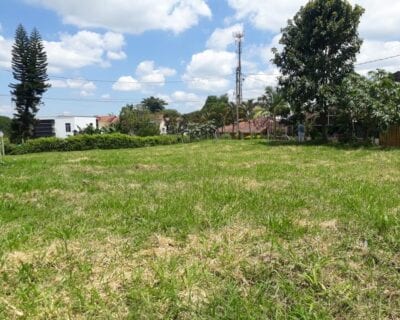 (3.) La Tebaida Colombia