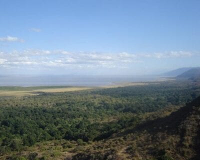 (2.) Lago Manyara Tanzania