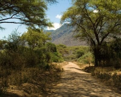 (3.) Lago Manyara Tanzania
