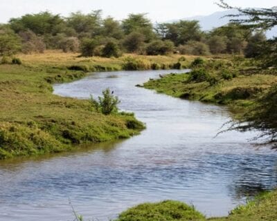 (6.) Lago Manyara Tanzania