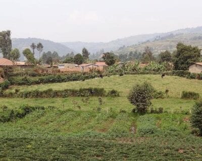 Lake Bunyonyi (Kabale)