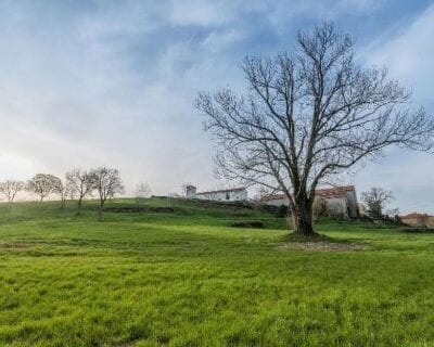 (5.) Lipica Eslovenia