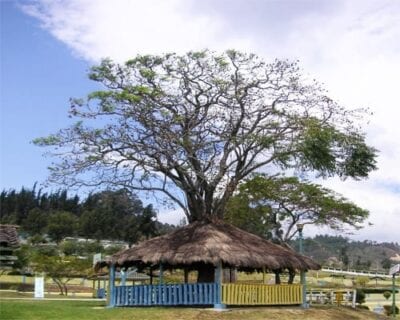 Loja Ecuador