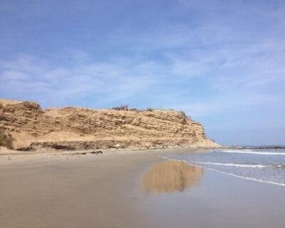 (2.) Los Órganos Perú