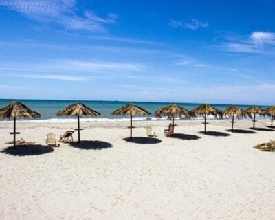 (1.) Los Órganos Perú