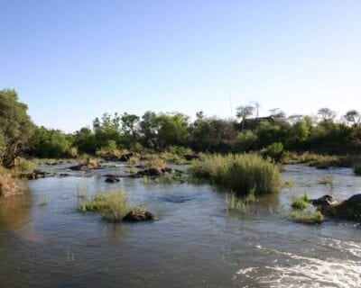 Madikwe República de Sudáfrica