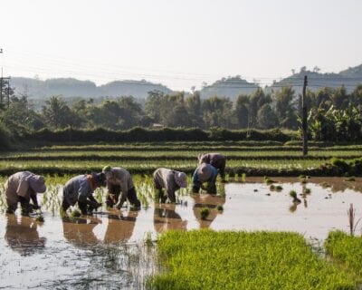 Mae Chan Tailandia