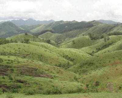 (1.) Mararikulam India