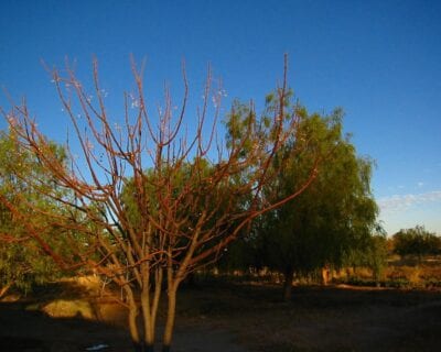 Mariental Namibia