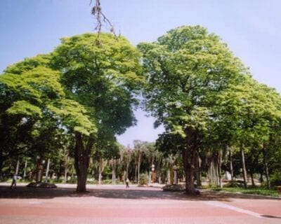 (2.) Maringá Brasil