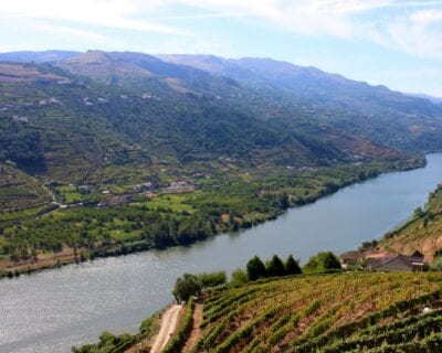 Mesao Frio Portugal