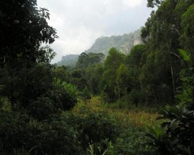 (2.) Montañas Usambara Tanzania