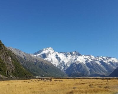 Monte Cook Nueva Zelanda