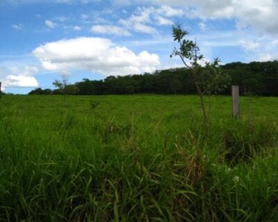 (2.) Montes Claros Brasil