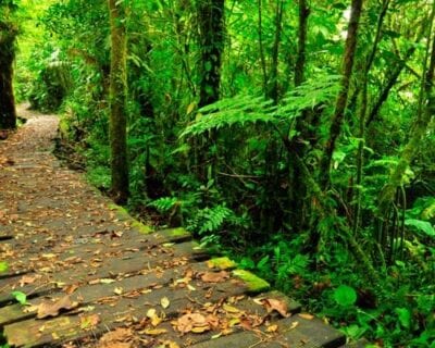 Monteverde Costa Rica