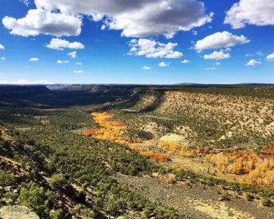 Montrose UT Estados Unidos