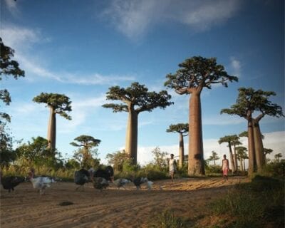 Morondava Madagascar