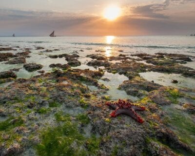 (1.) Nungwi Tanzania