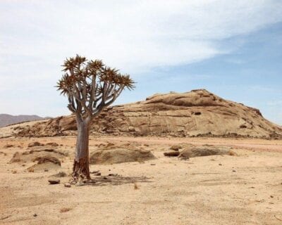 Okazizi Namibia