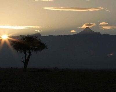 Ol Pejeta Kenia