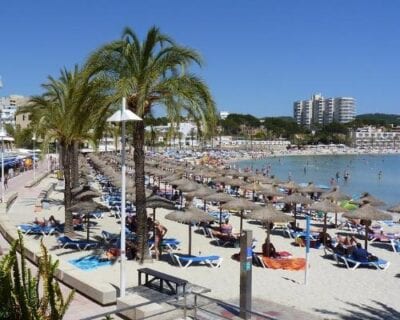 (2.) Paguera España