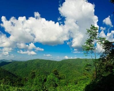 Pak Chong (Khao Yai) Tailandia