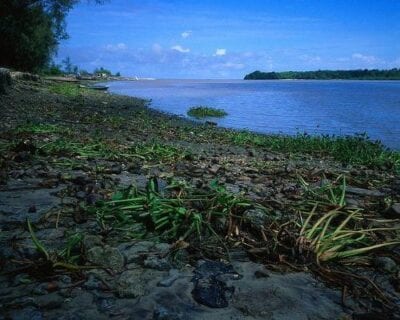 (2.) Pangani Tanzania