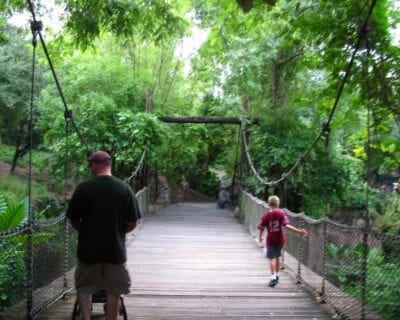 (3.) Pangani Tanzania