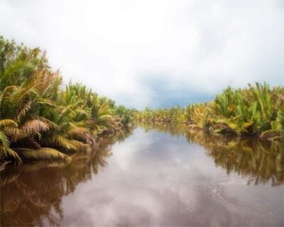 Pangkalan Bun Indonesia