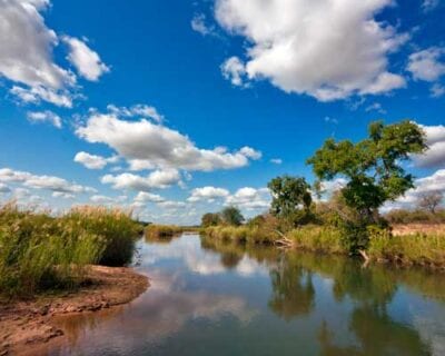 Parque Nacional de Kruger República de Sudáfrica