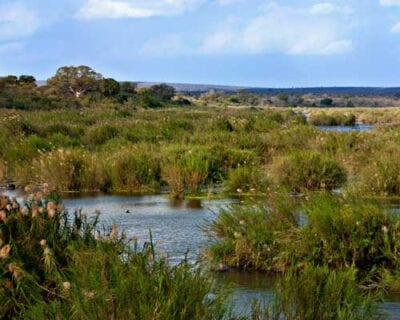 Parque Nacional de Kruger República de Sudáfrica