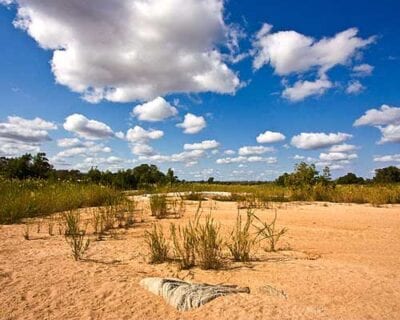 Parque Nacional de Kruger República de Sudáfrica