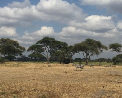 Parque nacional de Nxai Pan Botswana